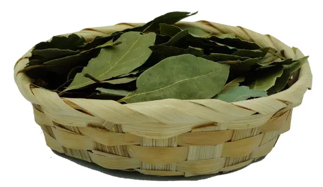 liść-laurowy-NaturHerb.webp