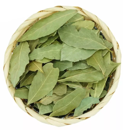 liść-laurowy-up-NaturHerb.webp