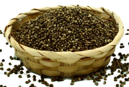 Konopia siewna NaturHerb.webp