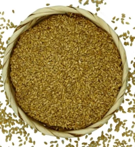 Siemię lniane złote