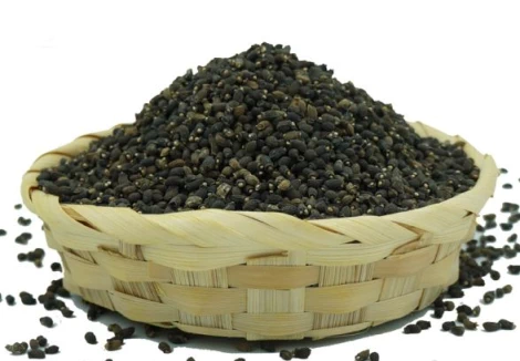 ogórecznik-lekarski-NaturHerb.webp