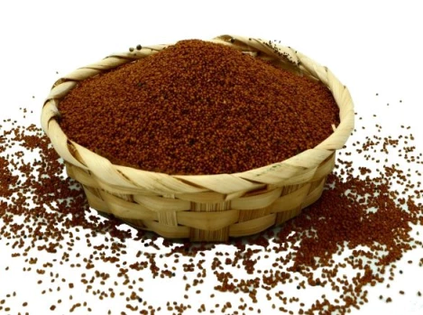 Rydz-lnianka-NaturHerb.webp