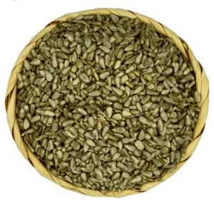 Słonecznik łuskany