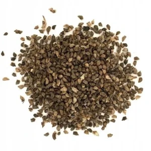 Żmijowiec zwyczajny