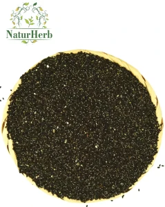 Pszczelnik mołdawski