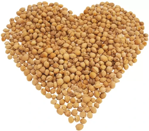 Pestki wiśni serce.webp