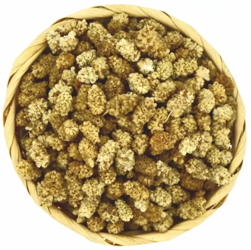 morwa-biała-upl-NaturFruit.webp